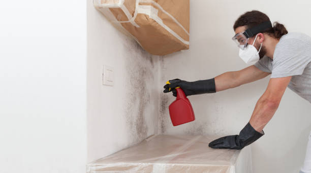 Professional Mold Remediation technician working in Mathews, VA