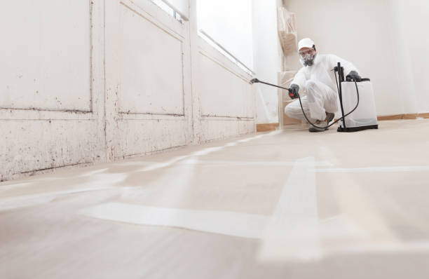24/7 Emergency Mold Remediation experts in Mathews, VA